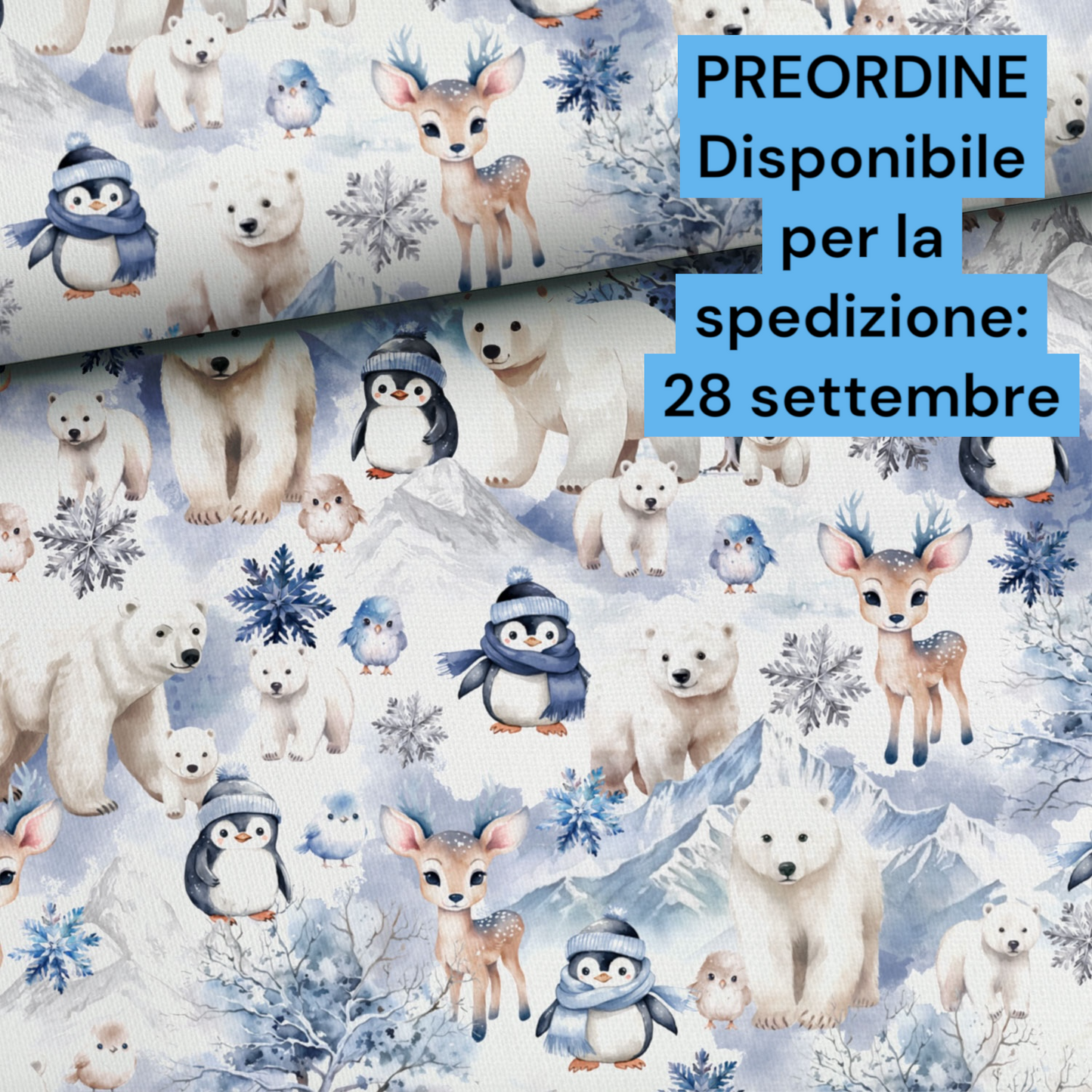 Jersey stampa digitale, certificato OEKO TEX, 92 % cotone 8% elastan, altezza 160 cm