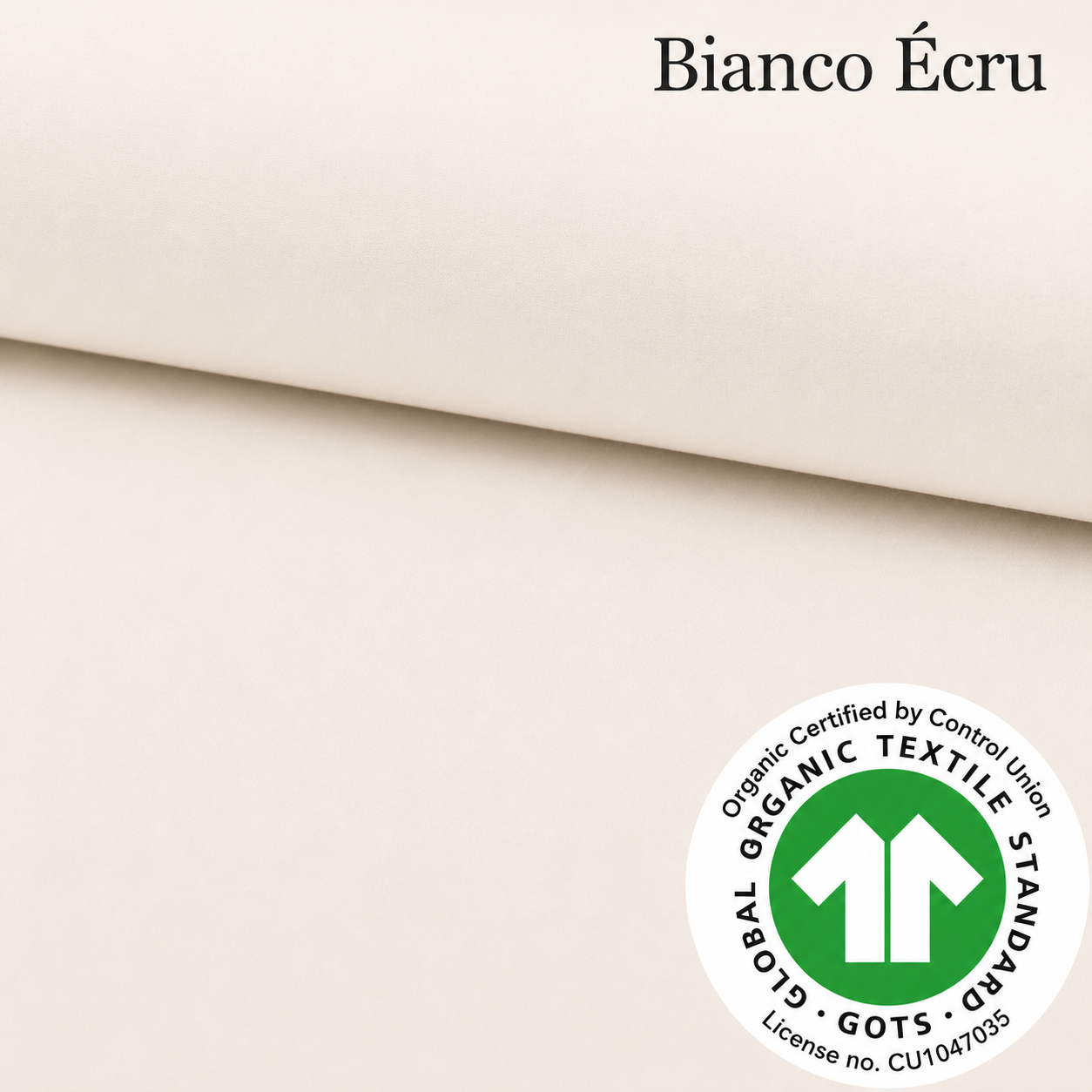 Jersey di cotone BIANCO ÉCRU, ORGANICO certificato GOTS, 95 % cotone 5% elastane, altezza 150 cm