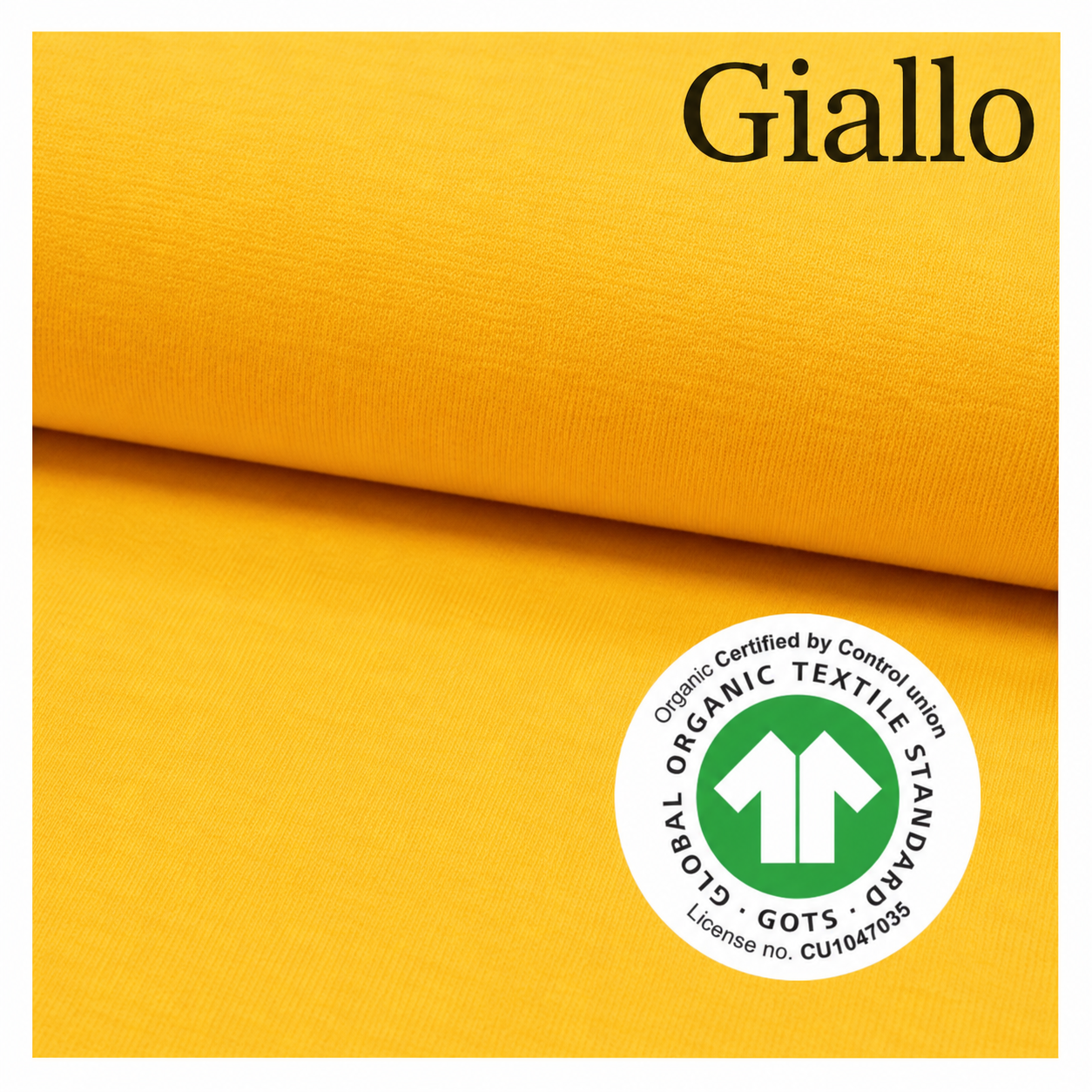 Jersey di cotone GIALLO, certificato Oeko Tex , 95 % cotone 5% esaltan, altezza 150 cm